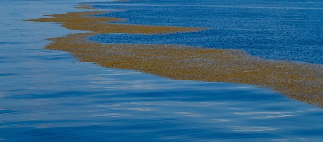 Η μοναδική θάλασσα στον κόσμο που δεν έχει στεριά (φωτό)